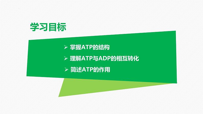 （人教版2019必修1）高一生物同步精品 5.2 细胞的能量“货币”ATP（精讲课件+教学设计）02