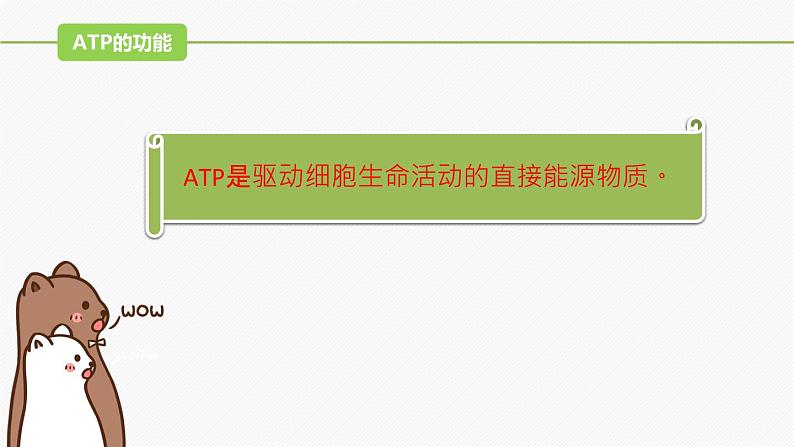 （人教版2019必修1）高一生物同步精品 5.2 细胞的能量“货币”ATP（精讲课件+教学设计）06