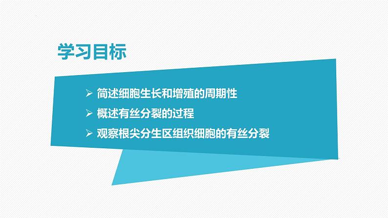 （人教版2019必修1）高一生物同步精品 6.1 细胞的增殖（第1课时）（精讲课件+教学设计）02