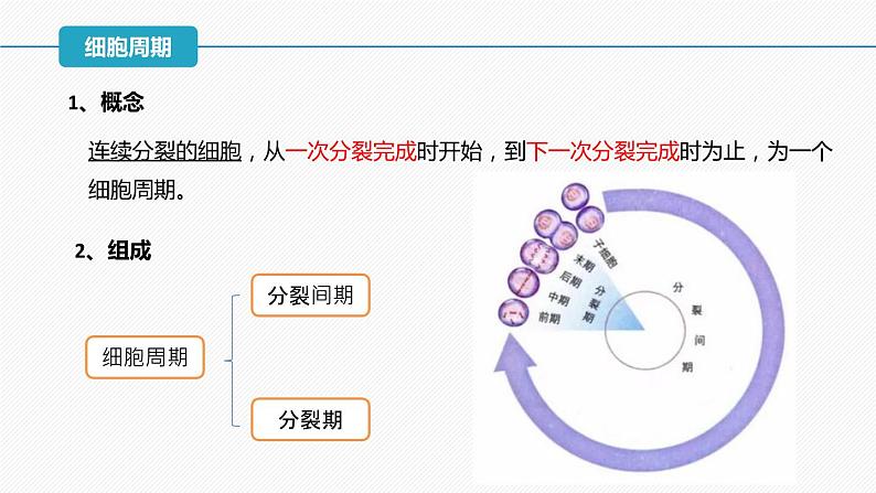 （人教版2019必修1）高一生物同步精品 6.1 细胞的增殖（第1课时）（精讲课件+教学设计）08