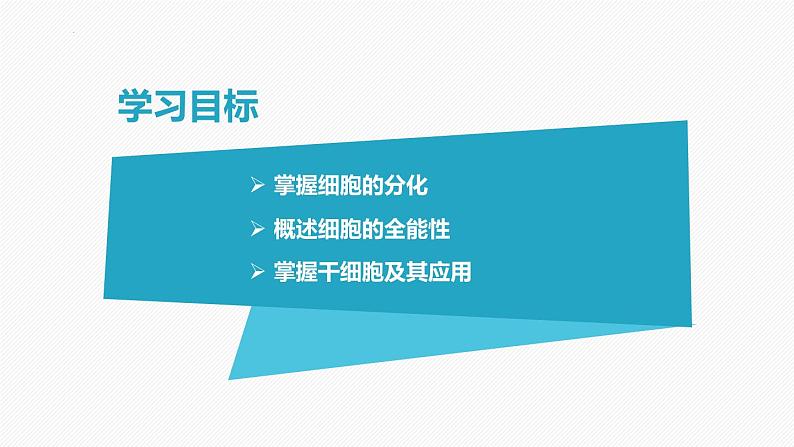 （人教版2019必修1）高一生物同步精品 6.2 细胞的分化（精讲课件+教学设计）02