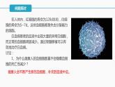 （人教版2019必修1）高一生物同步精品 6.2 细胞的分化（精讲课件+教学设计）