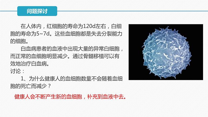 （人教版2019必修1）高一生物同步精品 6.2 细胞的分化（精讲课件+教学设计）03