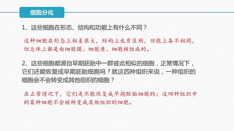 （人教版2019必修1）高一生物同步精品 6.2 细胞的分化（精讲课件+教学设计）07