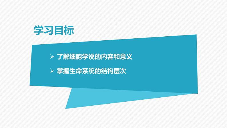 （人教版2019必修1）高一生物同步精品课件 1.1细胞是生命活动的基本单位（精讲课件+教学设计）02