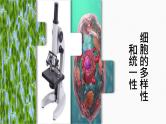（人教版2019必修1）高一生物同步精品 1.2 细胞的多样性和统一性（精讲课件+教学设计）