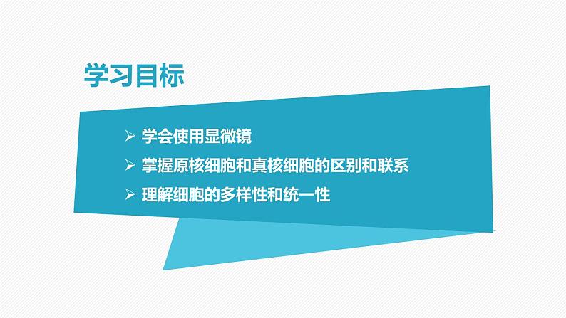 （人教版2019必修1）高一生物同步精品 1.2 细胞的多样性和统一性（精讲课件+教学设计）02