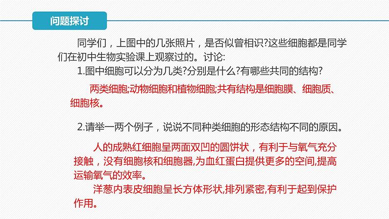 （人教版2019必修1）高一生物同步精品 1.2 细胞的多样性和统一性（精讲课件+教学设计）04