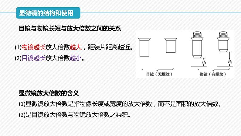 （人教版2019必修1）高一生物同步精品 1.2 细胞的多样性和统一性（精讲课件+教学设计）07