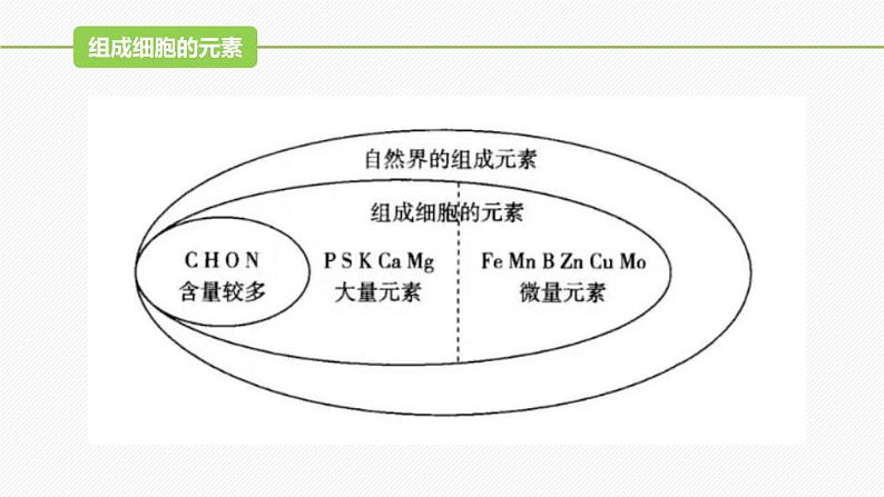 （人教版2019必修1）高一生物同步精品 2.1 细胞中的元素和化合物（精讲课件+教学设计）07