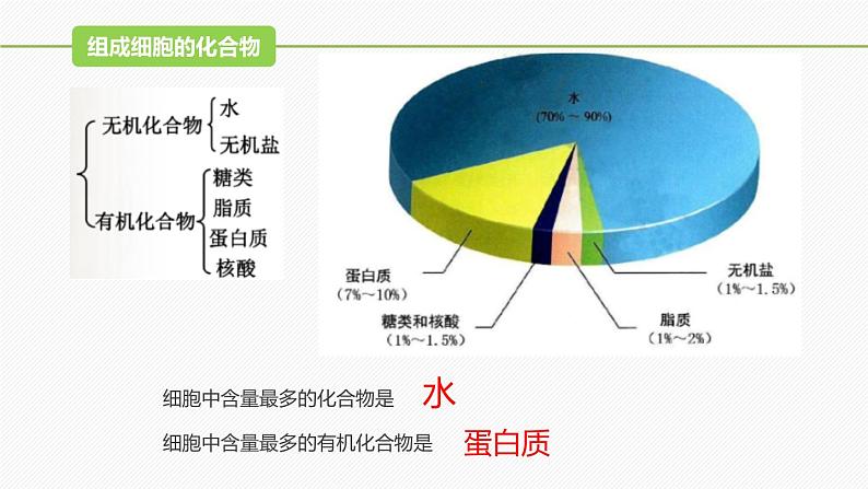 （人教版2019必修1）高一生物同步精品 2.1 细胞中的元素和化合物（精讲课件+教学设计）08