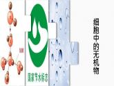 （人教版2019必修1）高一生物同步精品 2.2 细胞中的无机物（精讲课件+教学设计）
