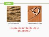 （人教版2019必修1）高一生物同步精品 2.2 细胞中的无机物（精讲课件+教学设计）