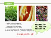 （人教版2019必修1）高一生物同步精品 2.2 细胞中的无机物（精讲课件+教学设计）