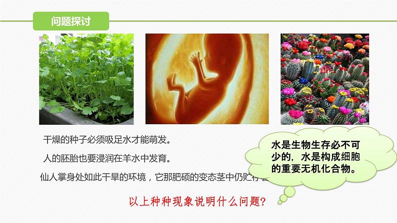 （人教版2019必修1）高一生物同步精品 2.2 细胞中的无机物（精讲课件+教学设计）05