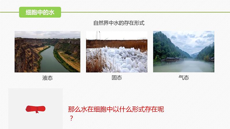 （人教版2019必修1）高一生物同步精品 2.2 细胞中的无机物（精讲课件+教学设计）06