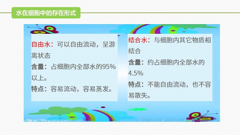 （人教版2019必修1）高一生物同步精品 2.2 细胞中的无机物（精讲课件+教学设计）07