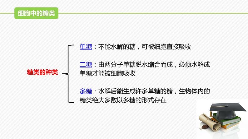 （人教版2019必修1）高一生物同步精品 2.3 细胞中的糖类和脂质（精讲课件+教学设计）08