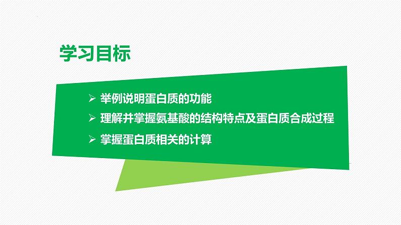 （人教版2019必修1）高一生物同步精品课件 2.4 蛋白质是生命活动的主要承担者（精讲课件）第2页