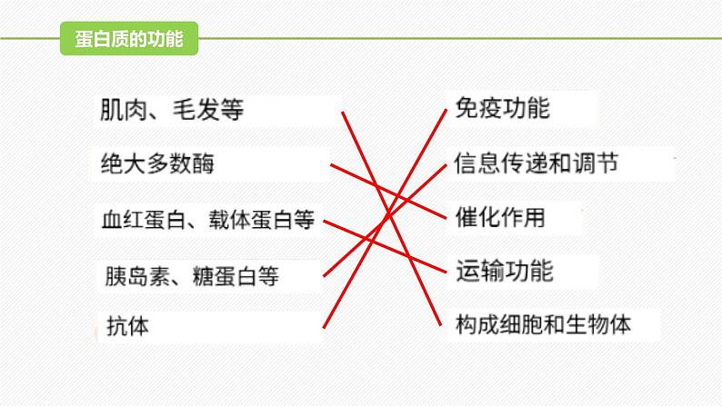 （人教版2019必修1）高一生物同步精品课件 2.4 蛋白质是生命活动的主要承担者（精讲课件）第5页