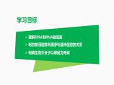 （人教版2019必修1）高一生物同步精品 2.5 核酸是遗传信息的携带者（精讲课件+教学设计）