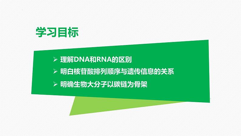 （人教版2019必修1）高一生物同步精品课件 2.5 核酸是遗传信息的携带者（精讲课件） 第2页