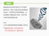 （人教版2019必修1）高一生物同步精品 2.5 核酸是遗传信息的携带者（精讲课件+教学设计）