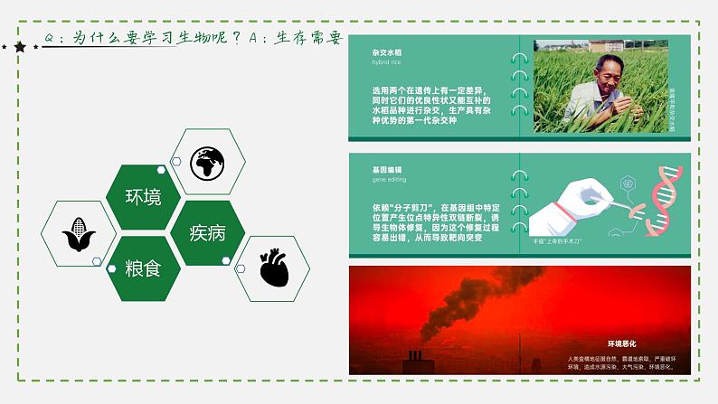 高中生物开学第一课 课件207