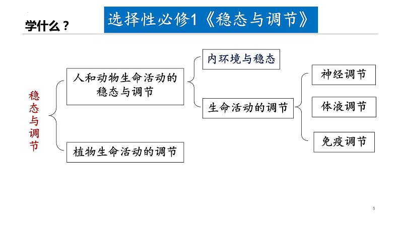 高中生物开学第一课 课件305