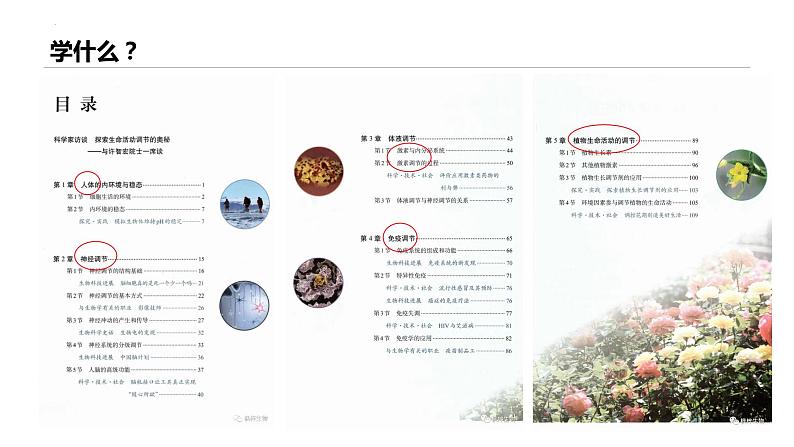 高中生物开学第一课 课件306