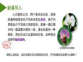 （人教版2019必修2）高一生物同步练习 1.1 孟德尔的豌豆杂交实验（一）（教学课件+课后练习+解析）