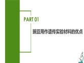 （人教版2019必修2）高一生物同步练习 1.1 孟德尔的豌豆杂交实验（一）（教学课件+课后练习+解析）