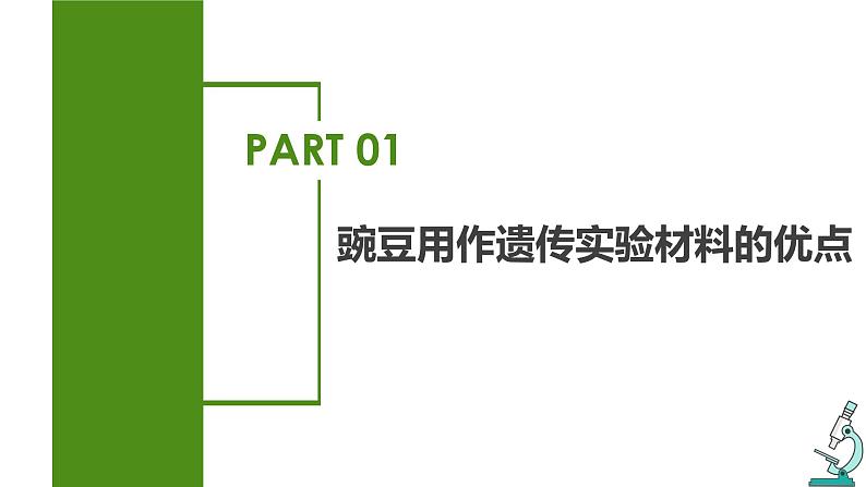 （人教版2019必修2）高一生物同步练习 1.1 孟德尔的豌豆杂交实验（一）（教学课件+课后练习+解析）05