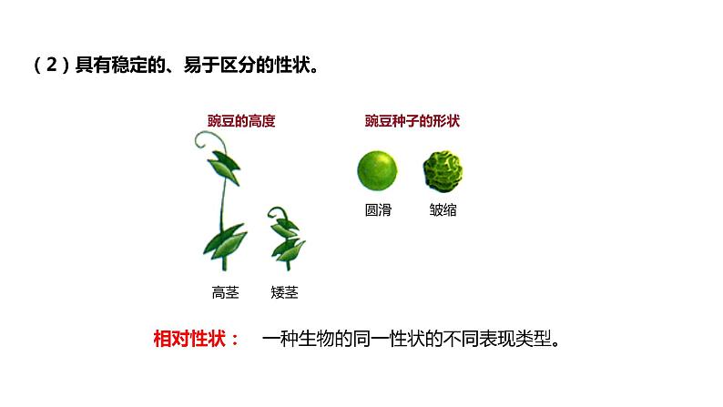 （人教版2019必修2）高一生物同步练习 1.1 孟德尔的豌豆杂交实验（一）（教学课件+课后练习+解析）07