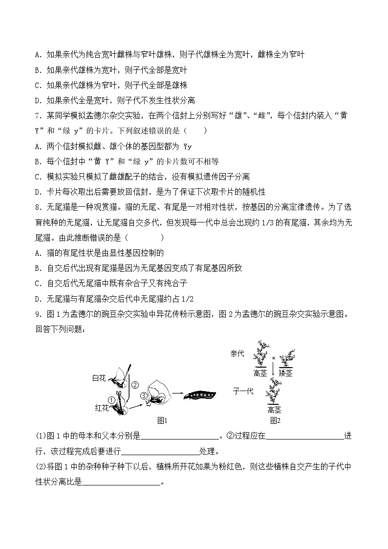 （人教版2019必修2）高一生物同步练习 1.1 孟德尔的豌豆杂交实验（一）（教学课件+课后练习+解析）02