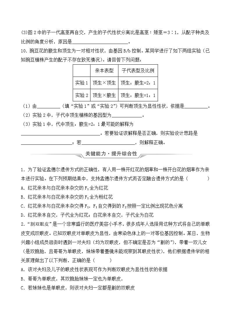 （人教版2019必修2）高一生物同步练习 1.1 孟德尔的豌豆杂交实验（一）（教学课件+课后练习+解析）03