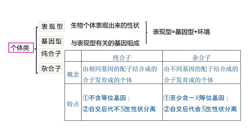 （人教版2019必修2）高一生物同步练习 第一章 遗传因子的发现（考点串讲课件+练习+解析）05