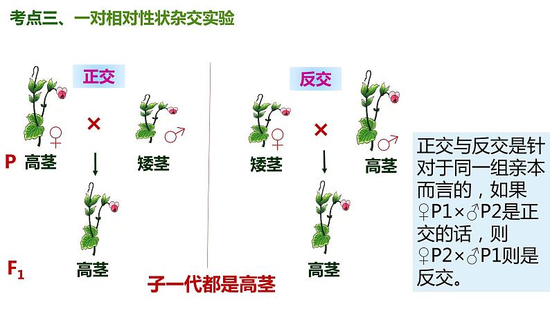 （人教版2019必修2）高一生物同步练习 第一章 遗传因子的发现（考点串讲课件+练习+解析）06