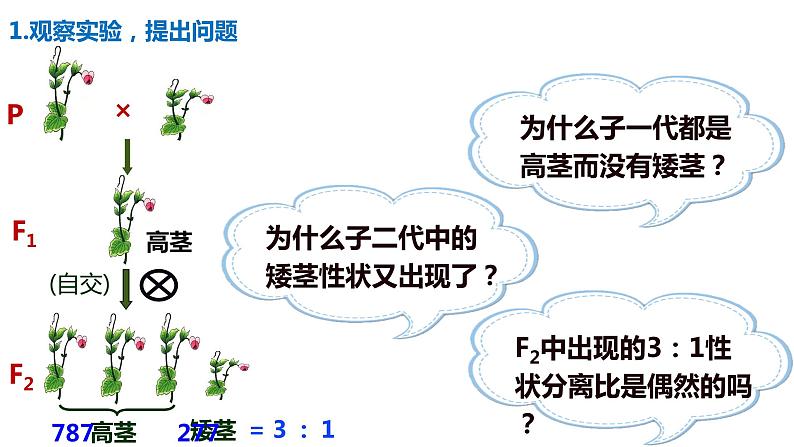 （人教版2019必修2）高一生物同步练习 第一章 遗传因子的发现（考点串讲课件+练习+解析）08