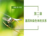 （人教版2019必修2）高一生物同步練習(xí) 第二章  基因和染色體的關(guān)系（考點(diǎn)串講課件+練習(xí)+解析）