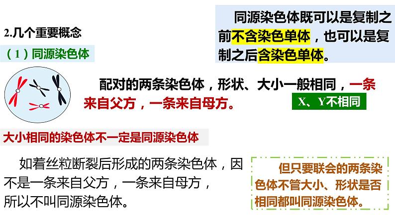 （人教版2019必修2）高一生物同步练习 第二章  基因和染色体的关系（考点串讲课件+练习+解析）03