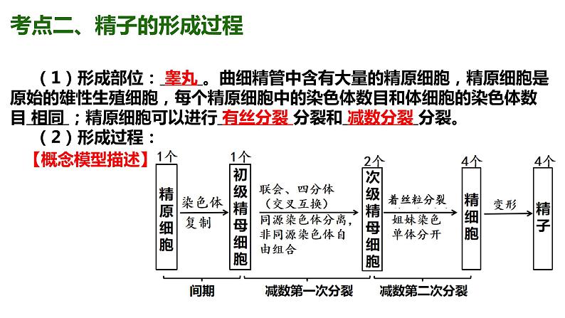 （人教版2019必修2）高一生物同步练习 第二章  基因和染色体的关系（考点串讲课件+练习+解析）06