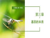 （人教版2019必修2）高一生物同步練習 第三章 基因的本質(zhì)（考點串講課件+練習+解析）