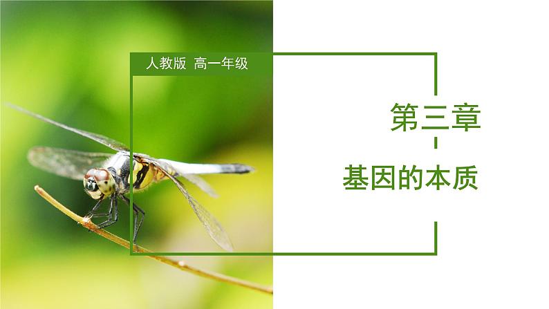 （人教版2019必修2）高一生物同步练习 第三章 基因的本质（考点串讲课件+练习+解析）01