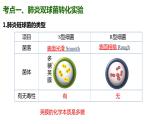 （人教版2019必修2）高一生物同步练习 第三章 基因的本质（考点串讲课件+练习+解析）