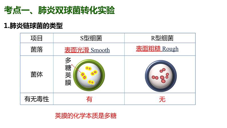 （人教版2019必修2）高一生物同步练习 第三章 基因的本质（考点串讲课件+练习+解析）02