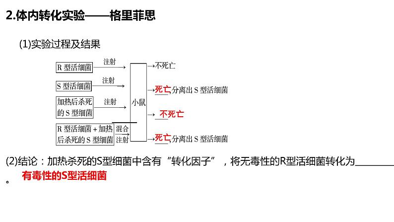 （人教版2019必修2）高一生物同步练习 第三章 基因的本质（考点串讲课件+练习+解析）03