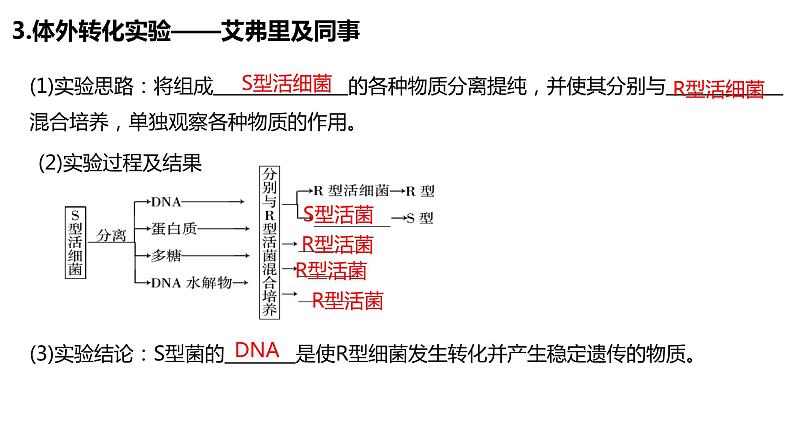 （人教版2019必修2）高一生物同步练习 第三章 基因的本质（考点串讲课件+练习+解析）05