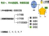 （人教版2019必修2）高一生物同步练习 第四章  基因的表达（考点串讲课件+练习+解析）