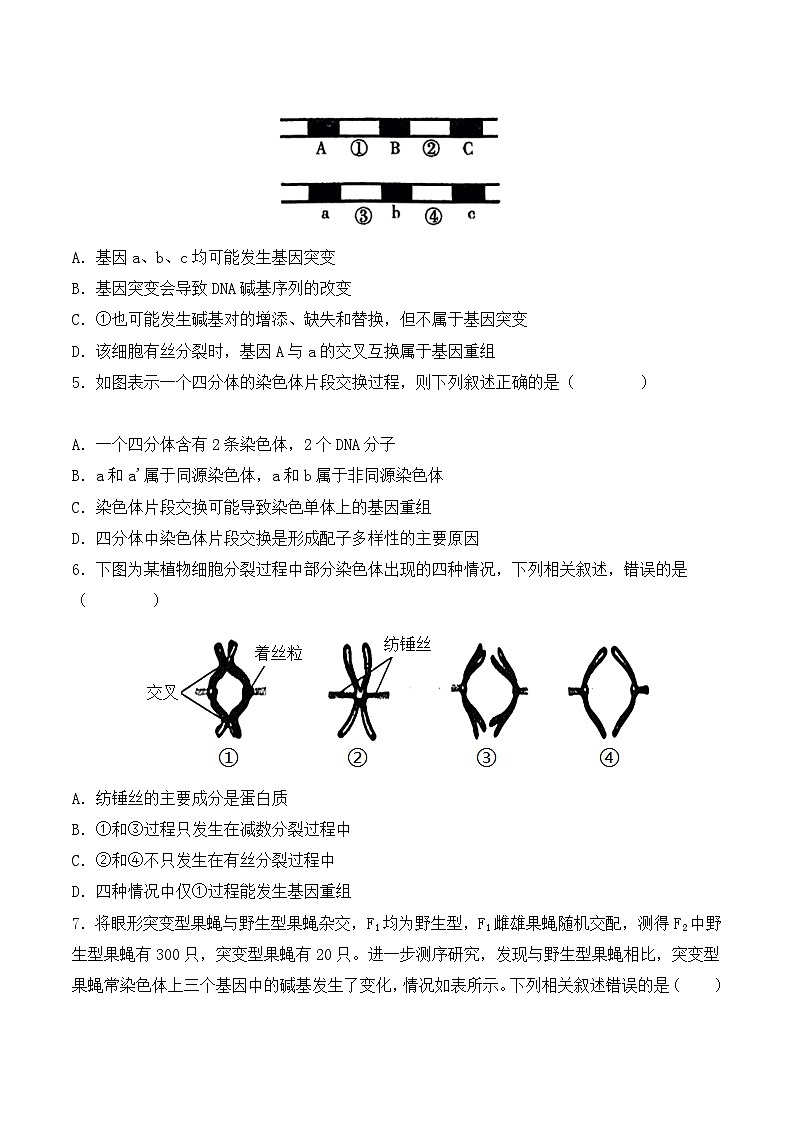 （人教版2019必修2）高一生物同步练习 第五章  基因突变及其他变异（考点串讲课件+练习+解析）02
